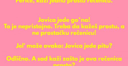 VIC DANA: PROSTA REČENICA