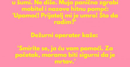 VIC DANA: Mujo i Haso odu u lov