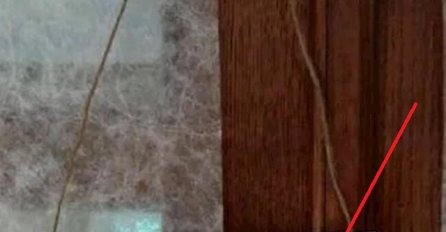 DALMATINAC NASMIJAO LJUDE DO SUZA, ZATVORIO RADNJU I OSTAVIO BRUTALNU PORUKU: Kakav je ovo CAR, HIT!