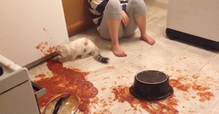 SLIKA IZ KUHINJE HIT NA INTERNETU, POGLEDAJTE ŠTA SE NALAZI ISPRED NJE NA PODU: Ljudi plaču od smijeha, ŠTA JE OVO!