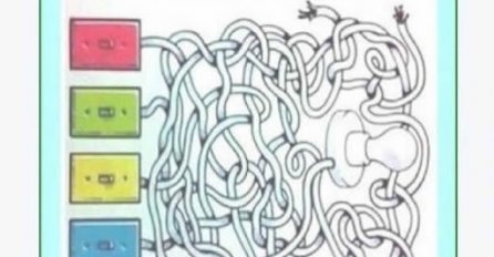 SVI POKUŠAVAJU DA OVO RIJEŠE, ALI  NIKOME NE USPJEVA: Koja utičnica pali sijalicu (FOTO)