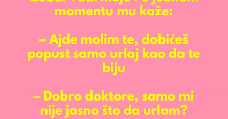 VIC DANA: Zubar i Mujo