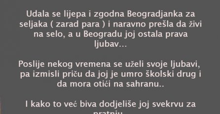 VIC DANA: Svekrva i snaha