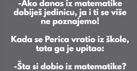 VIC DANA: Perica i matematika