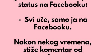 VIC: Sjedi učenik i piše status