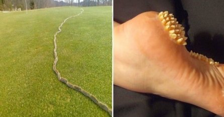 BIZARNE FOTOGRAFIJE KOJE NIKADA PRIJE NISTE VIDJELI: Čekajte samo dok vidite BROJ 4., ŠTA JE OVO?!