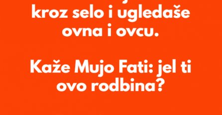 VIC DANA: Fatina rodbina