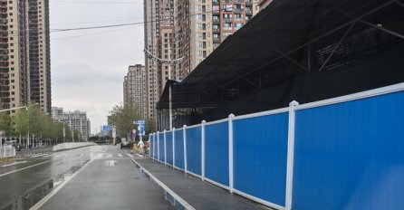 SZO: Pijaca morske hrane u Wuhanu igrala ulogu u izbijanju epidemije