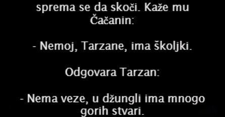 VIC: TARZAN SKAČE U MORAVU