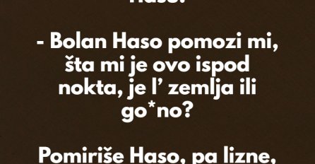 VIC DANA: Mujo i Haso