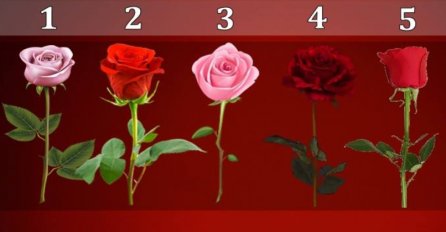 KOJA VAM JE NAJLJEPŠA RUŽA NA SLICI? Vaš odgovor otkriva da li ĆE VAM SE ISPUNITI NAJVEĆA ŽIVOTA ŽELJA
