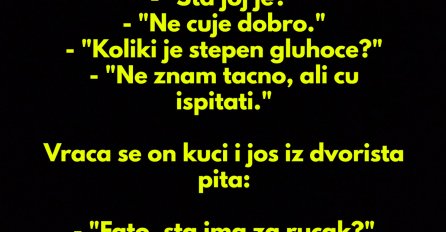 VIC DANA: Fata gluha