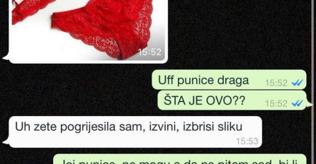 PUNICA MI JE SLUČAJNO POSLALA SLIKU DONJEG VEŠA, NAGOVORIO SAM JE DA GA OBUČE: Kad sam vidio kakva je SMUČILO MI SE, kako je nije stid??