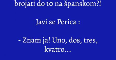 VIC: Učiteljica i Perica