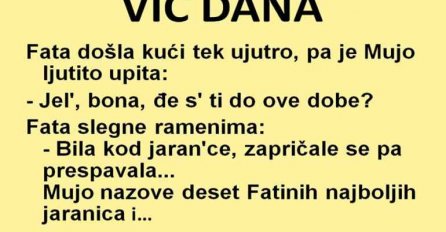 VIC DANA: Jarani i jaranice