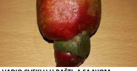 VADIO CVEKLU U BAŠTI, A SA NJOM ISKOPAO I OVO: Miloš nije mogao da vjeruje šta drži u SVOJIM RUKAMA! (FOTO)