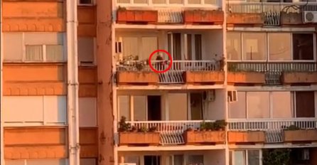 BAKA IZ SRBIJE POSTALA HIT NA INTERNETU: Kad su vidjeli šta radi NA BALKONU, popadali od smijeha! (VIDEO)