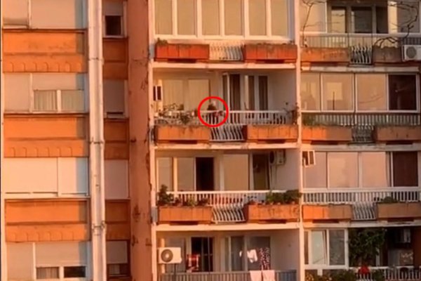 2200681-screenshot-1-ls