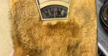 OVE BIZARNE IZUME LJUDI ZAISTA KUPUJU: Čekajte samo dok vidite BROJ 3, DA LI BISTE OVO KUPILI?