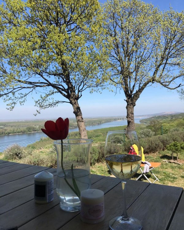 93468023-1384401761769174-1264642439759918500-n