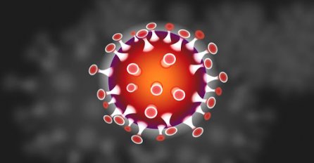 Broj zaraženih koronavirusom u svijetu premašio 3,8 miliona