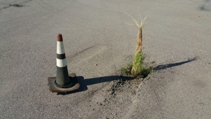 fde6a40a570746ac9a129e777fcd1b90-708x398