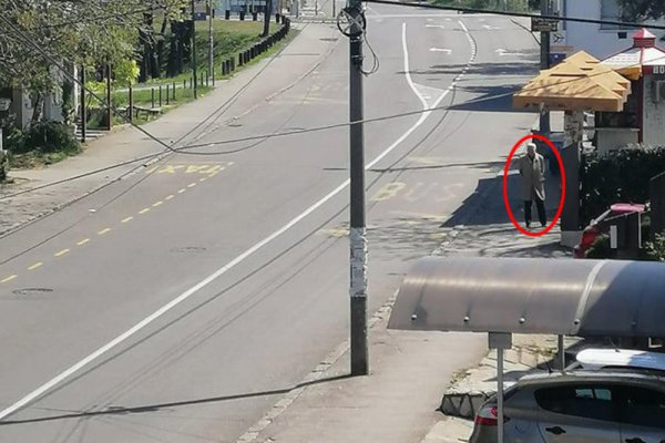 2202313-93702228-229799154764011-4266712883708035072-n-ls