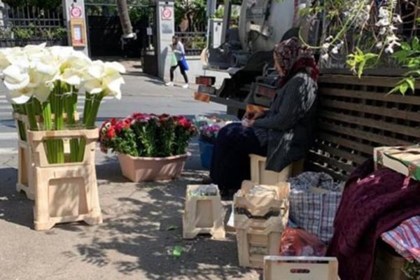 755123-baka-cvece-ls