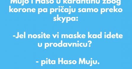 VIC DANA: Mujo i Haso u karantini