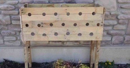 NA DRVENOJ KUTIJI PROBUŠILA JE 19 RUPA: Tri mjeseca kasnije cijeli komšiluk  je molio da im otkrije svoju tajnu