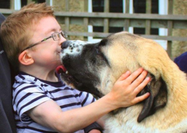 ef7a424d77ad37e7f81786bffe9a27bc