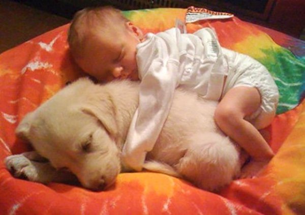 20767e2917a3e7ab37872cb7aaafa2ae