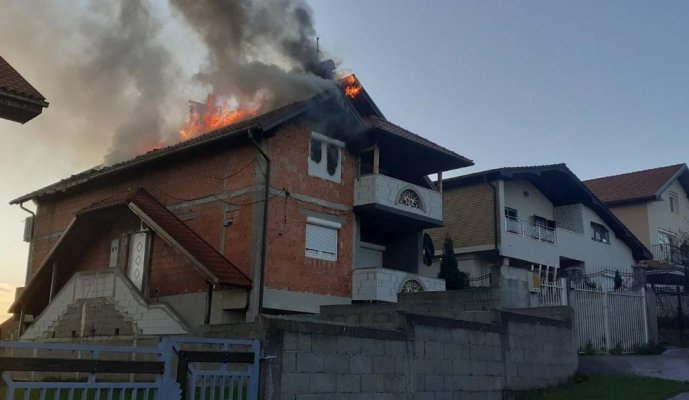 2215601-loznica-velika-ssteta-ff