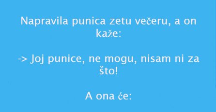 VIC DANA: PUNICA I ZET
