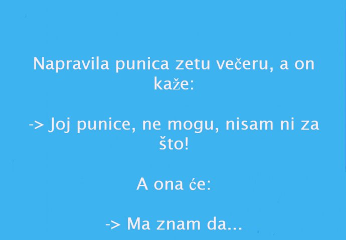 VIC DANA: PUNICA I ZET