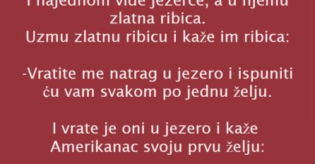 VIC DANA: Zlatna ribica i tri želje