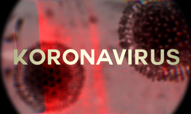 koronavirus