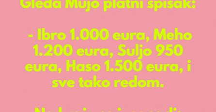 VIC: Mujo i platni spisak