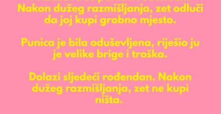 VIC DANA: Punicin rođendan