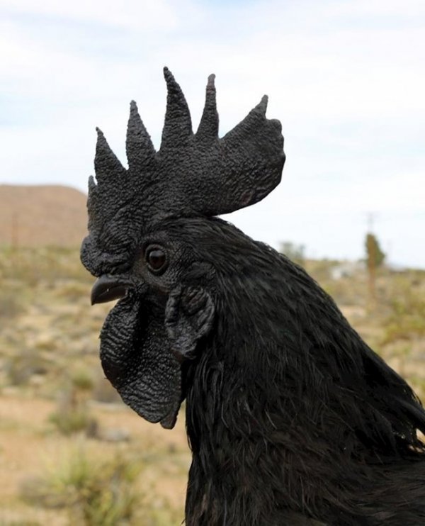 91c76253-da2c-48da-910c-246056496e96