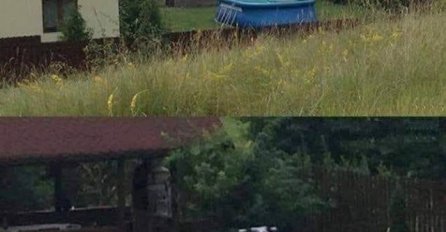 NEKO JE IZDALEKA SLIKAO KUĆU U PRIRODI, A ONDA SU OVO UGLEDALI U DVORIŠTU: Vrisnuli su od iznenađenja, ŠTA ĆE IM OVO OVDJE?