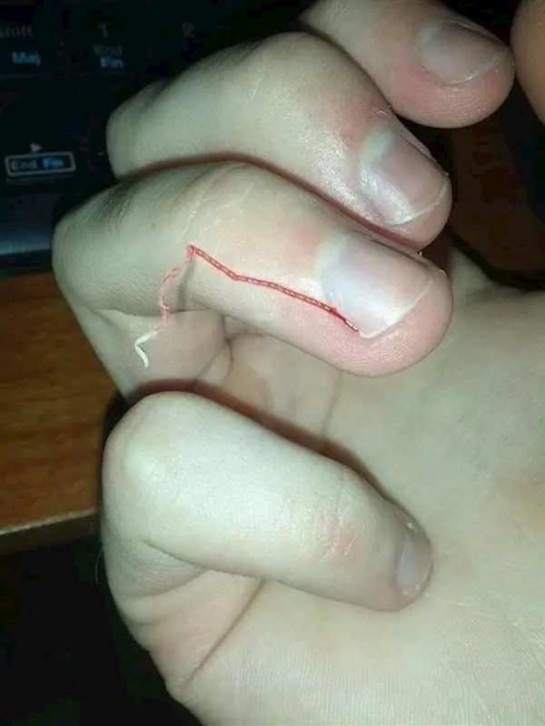 6d1fbb0f-bace-44d8-be98-9b89fb904025