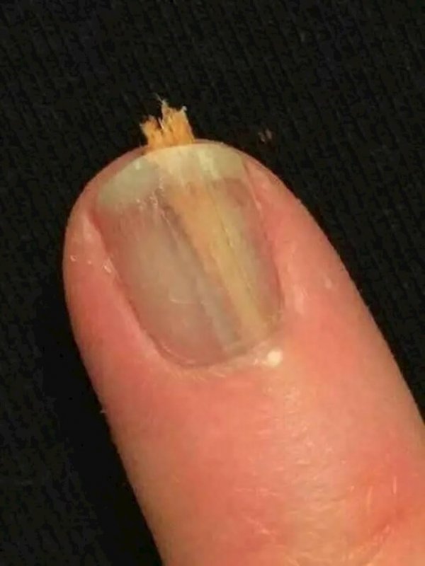 a107c1d4-f2da-497a-bde9-a4e3449c7d16