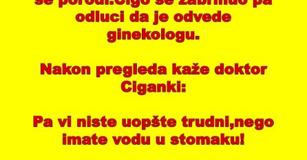 VIC: Ciganka u devetom mjesecu