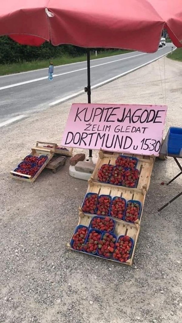 58c25203-bd55-4035-84d5-47a1a59ea21b