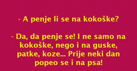 VIC DANA: Pijetao na pijaci