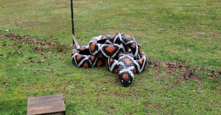 VIDITE LI ŠTA JE ČUDNO NA OVOJ SLICI? Kad skontate UHVATIT ĆETE SE ZA GLAVU, VIDITE LI?