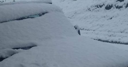 PADA SNIJEG U SRBIJI, GRAĐANI MASOVNO ŠALJU SLIKE: Ovi prizori se ne pamte, SVE SE BIJELI (FOTO)