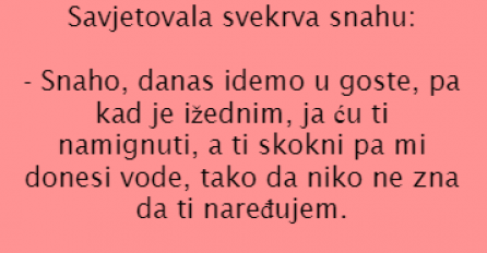 VIC DANA: Svekrva i snaha