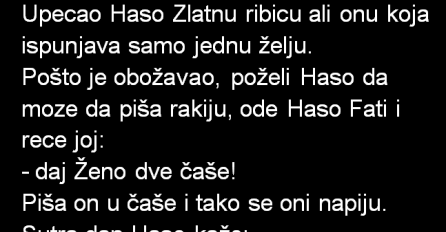 VIC DANA: Haso ulovio ribicu